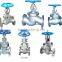 Flap Gate Valve
