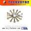 special fastener screw