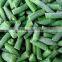 hot sale frozen IQF green beans cut