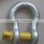 US Type Screw Pin Anchor Shackle