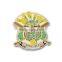 custom metal pins round badges