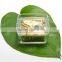 Premium Gift/Souvenir Transparent Acrylic Music Box with customized tune and graphic