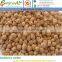 Chick Peas l Kabuli Chick Peas l Indian Kabuli