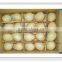 2015 fresh ya pear packing in carton with good quality