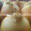 Yellow Onions