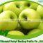 Fresh green apple /Green gala apple