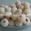 good taste IQF lychee meat ,chinese fresh frozen peel lychee fruit 2016 new crop