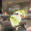 Small Automatic Electric Vegetable and Fruit Washing Machine
