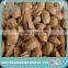 Roasted Salt Opening Apricot Pit/ Sweet Apricot Kernel for Festival Gift or leisure