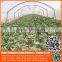 Chinese Factory pe Greenhouse Anti Insect Proof Net , Plastic Vegetable Anti Insect Net , Nylon Agricultural Anti Insect Net