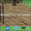 Cheap barbed wire roll price fence