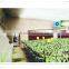 Greenhouse High Quality Water Cooling Pad System