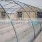 poly tunnel greenhouse