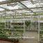 Large Size Commercial Greenhouse Hydroponics