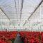 RoughBrothers PolyArch-RD2 Muli-span Galvanized Steel Frame vegetable and flower greenhouse