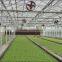 Multi-Span Glass Greenhouse for Agricultural Seeding