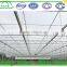 Large Size and Multi Span Agricultural Glass Greenhouse