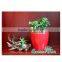 Large strawberry planter