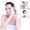 4 in 1 Cosmetic Makeup Kits Beauty Facial Kits