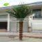 GNW APM023 Wholesale Cheapest Indoor And Outdoor Fack Decoration Palm Tree