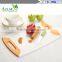 Eco-friendly high grade plastic cheese bread cutting board