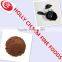 GMP factory black-gar Aged black Garlic