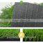 2017 New bi colors CE standard football field artificial carpet grass