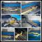 bow tie straps in ratchet tie down lashing strap cam buckle cargo lashing best price made by PES or PP