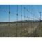 grassland  fence/ cattle fence/ field mesh