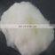 China supplier Inner Mongolia cashmere fibre is used for spinning cashmere yarn