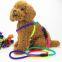 Colorful Round Rope Pet Leash Dog Leash Pet Chest Harness Cat Leash A9