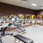 Gym Mirror Activity Mirror from China Manufacturer