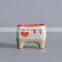 Wholesale ceramic candy color succulent flower thumb pot