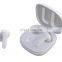 CE RHOS FCC certificate Anc Earbuds Active Noise Cancelling Bluetooth Earphone In-ear Wireless ANC Earbuds With Microphone