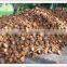 Good price Coconut Shell from Vietnam
