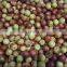 Sinocharm BRC-A approved IQF jujube Frozen jujube