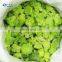 Top Grade IQF Frozen Romanesco