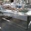 2022 Mushroom Washer Washer Fruit Sale Apple Washer Product Strawberry Cleaning Machine Tomato Cleaning Machine