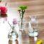 Tabletop Decoration Wholesale Nordic Terrarium Home Wedding Creative Unique Mini Glass Vase Pot Decorative Flower Bottle