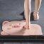 Custom Animal Shape Water-absorbent Diatomite Stone Bath Mats for Bathroom