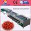Potatoes Grader Machine/Tomatoes Sorting Machinery From Fruit Process Line