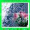 Factory price 3-8mm Karatachi Patterned Glass