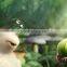 3d Animation Software