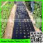high quality agricultural polyethylene mulch covering film/black/sliver mulch film with cheap price