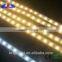 New Fashion Strip LED Light For Brand Store,Full Color 5050 Rgb Led Strip dc12 v Black/white ip68 Led Strip Light