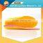 colorful EVA foam insole for kid shoes