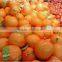  china wholesale fruit&vegetable leno mesh bag