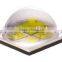 XLamp XHP70, Original cree led diode 7mm x7mm