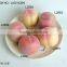 Realistic Artificial Polyfoam peach in polyfoam for display House Decoration artificial fruits