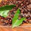 Good Aroma - Mild Roasted Arabica Roasted Coffee Beans